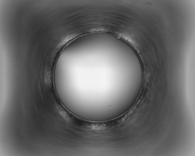 X0000086740345200704271655