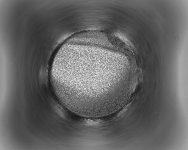 X0000086740346200704271655