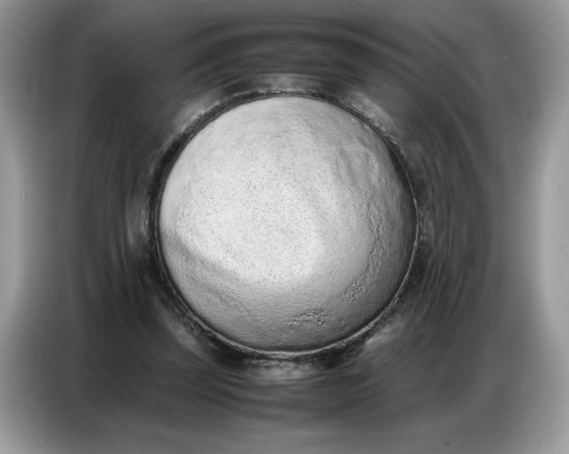 X0000086740347200704271655