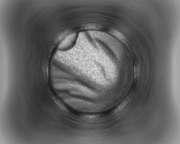 X0000086740349200704271655