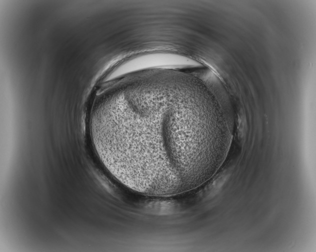 X0000086740350200704271655