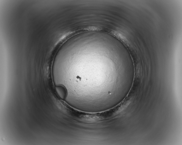 X0000086740351200704271655