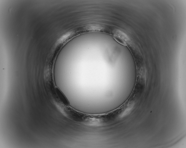 X0000086740352200704271655