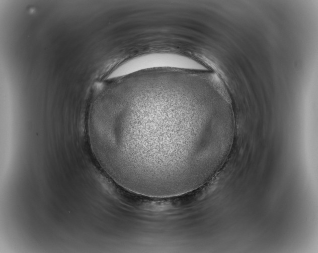 X0000086740353200704271655