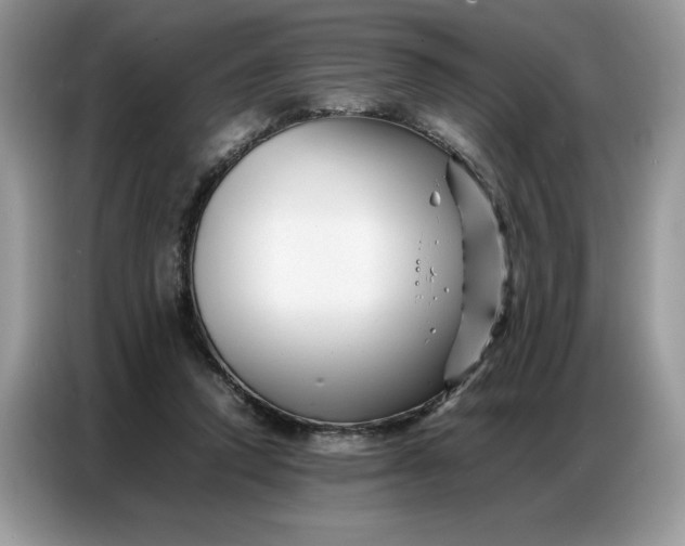 X0000086740354200704271655