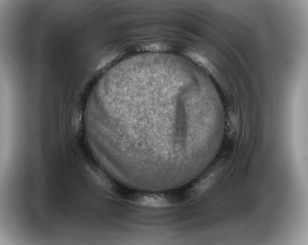 X0000086740355200704271655