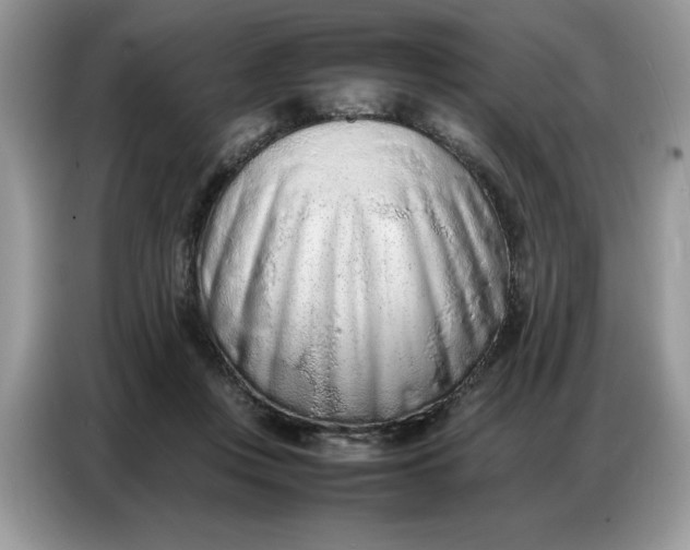 X0000086740359200704271655