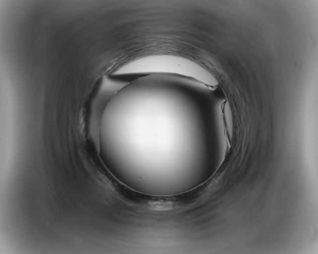 X0000086740362200704271655