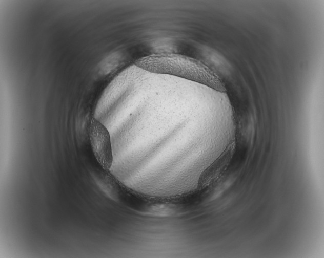 X0000086740364200704271655