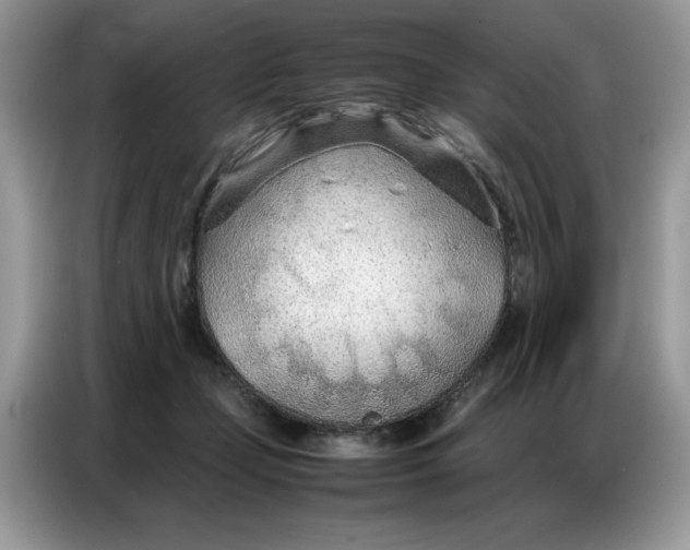 X0000086740365200704271655