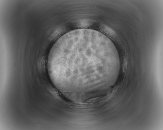 X0000086740366200704271655