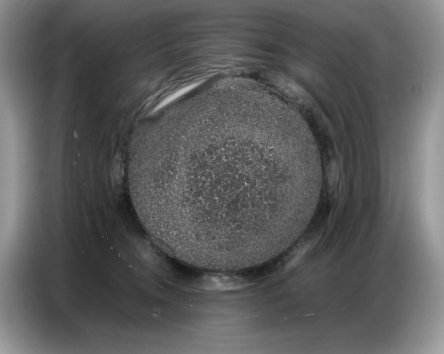 X0000086740372200704271655