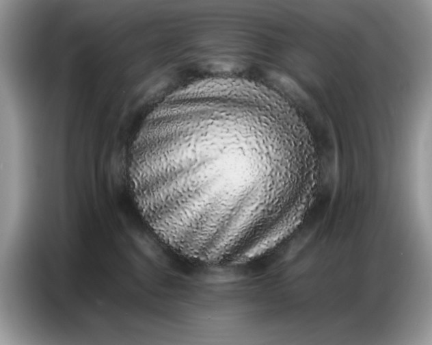 X0000086740376200704271655