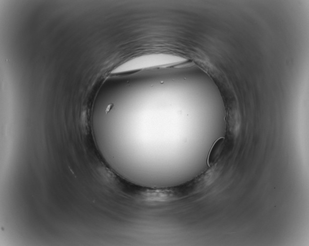 X0000086740378200704271655