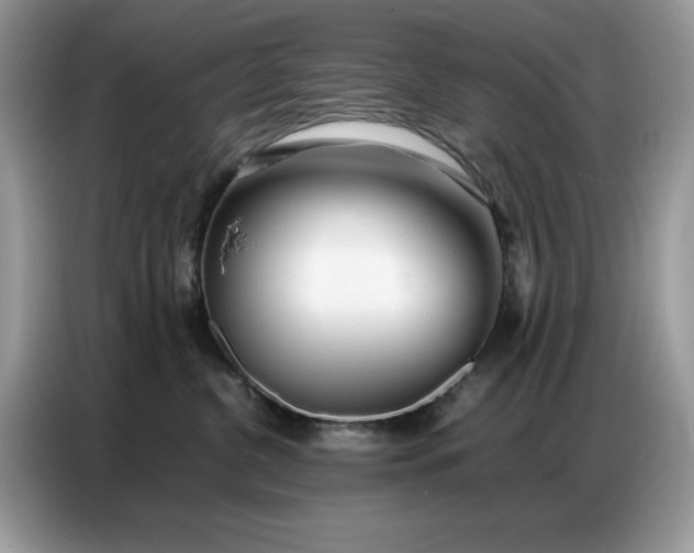 X0000086740380200704271655