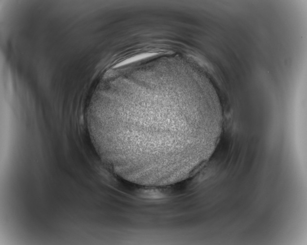 X0000086740381200704271655