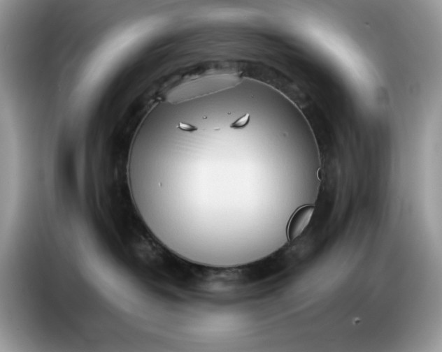 X0000086740382200704271655