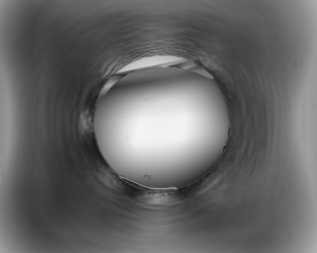 X0000086740384200704271655