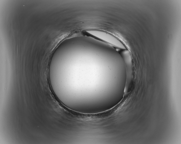 X0000086740385200704271655