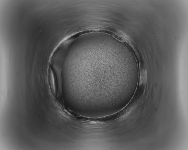 X0000086740387200704271654