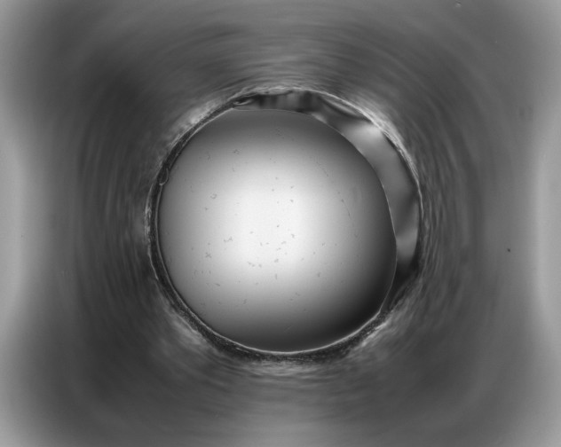 X0000086740389200704271654