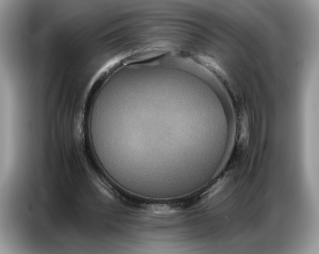 X0000086740392200704271654