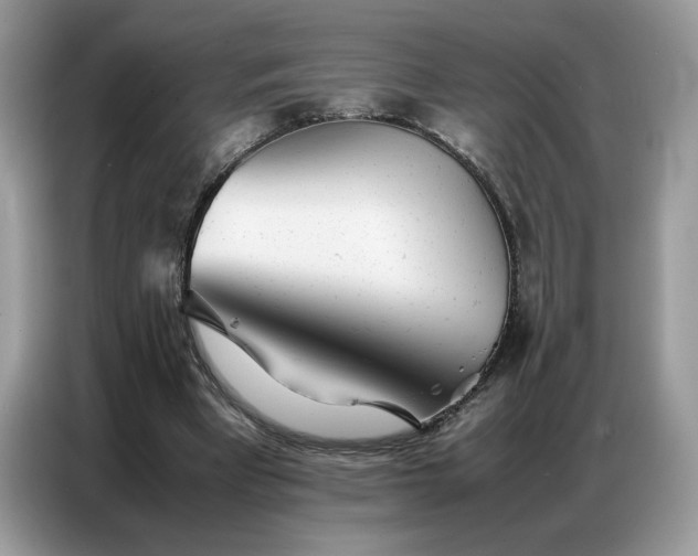 X0000086740393200704271654