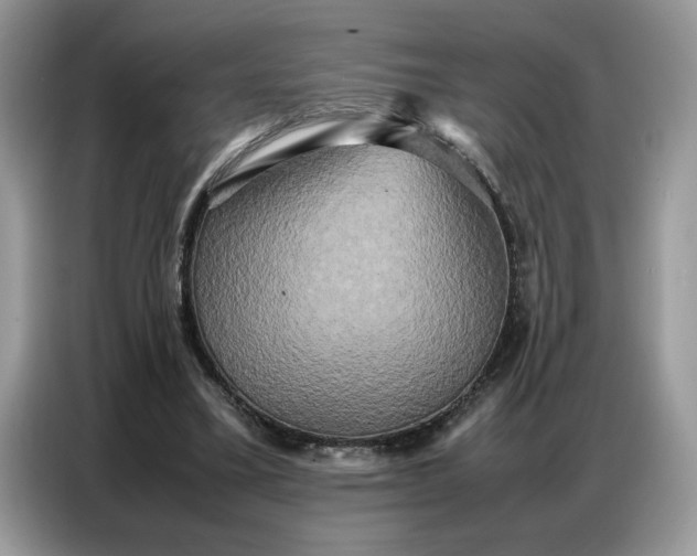 X0000086740395200704271654