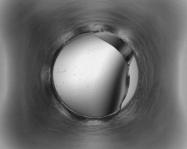 X0000086740397200704271654