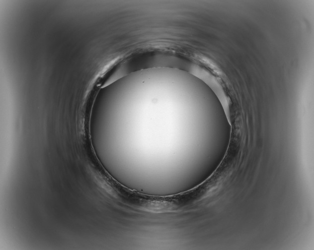 X0000086740399200704271654