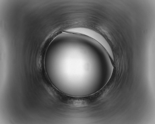 X0000086740400200704271654