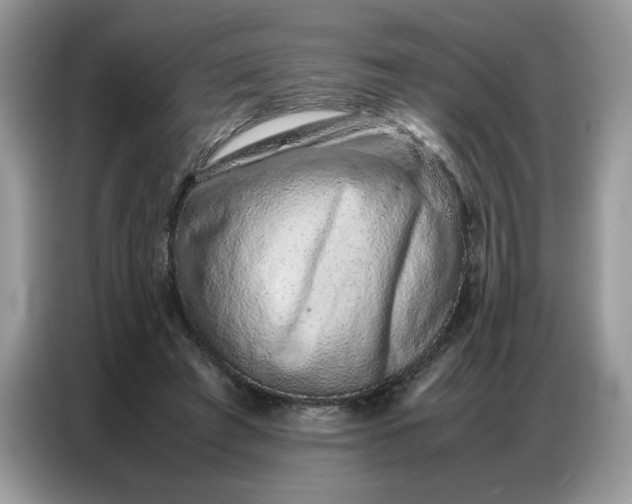 X0000086740401200704271654