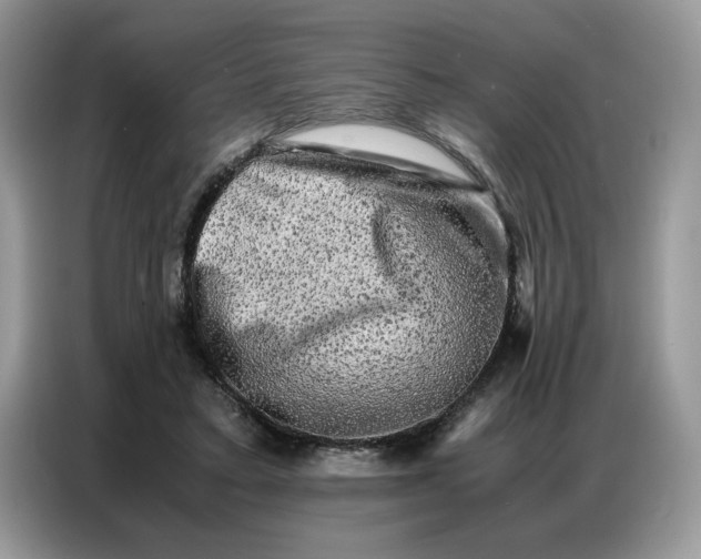 X0000086740403200704271654