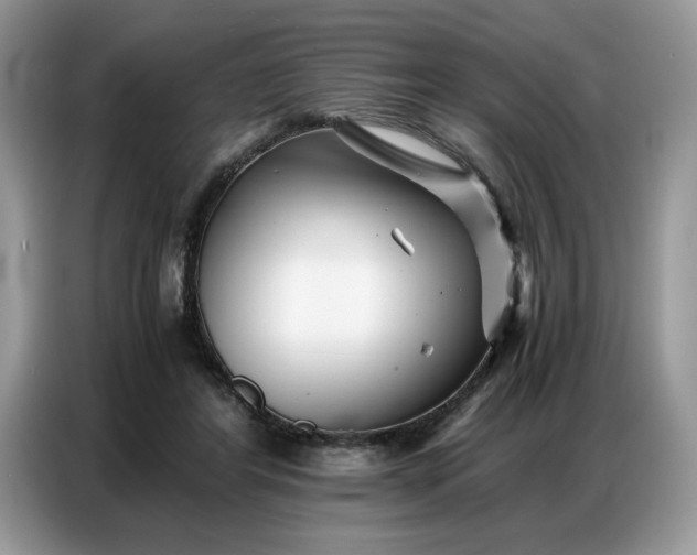 X0000086740404200704271654