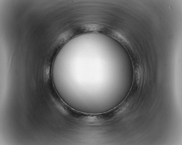 X0000086740406200704271654