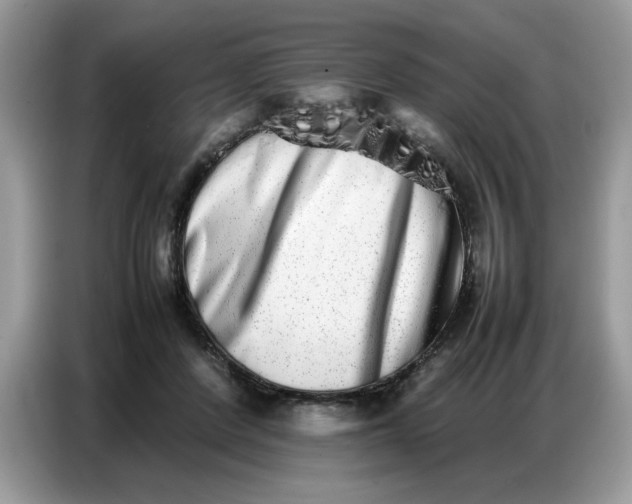 X0000086740408200704271654