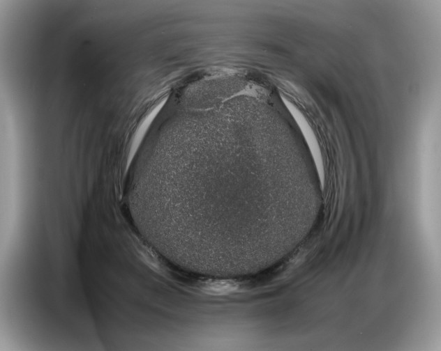 X0000086740409200704271654