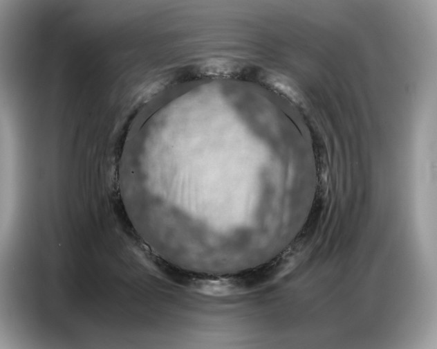 X0000086740411200704271654