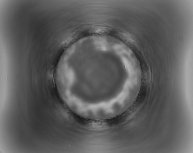 X0000086740415200704271654