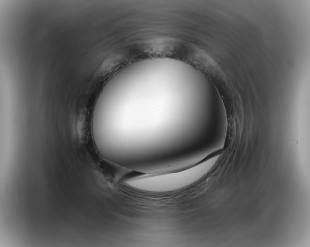 X0000086740416200704271654