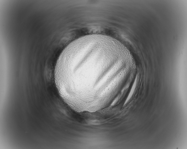 X0000086740417200704271654