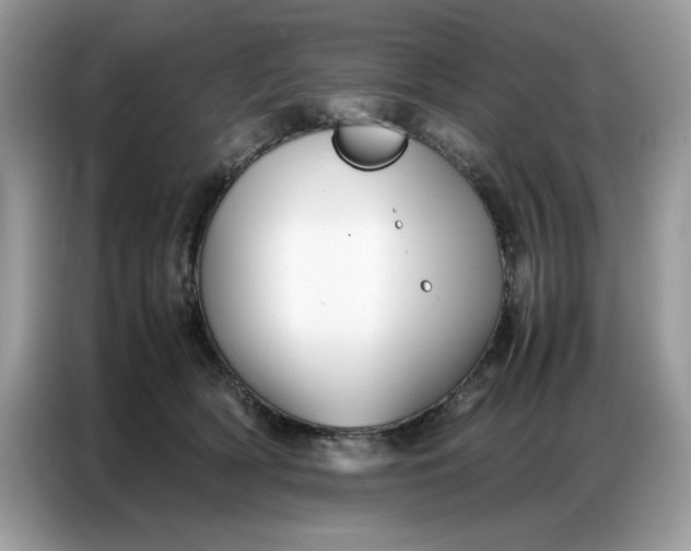 X0000086740418200704271654