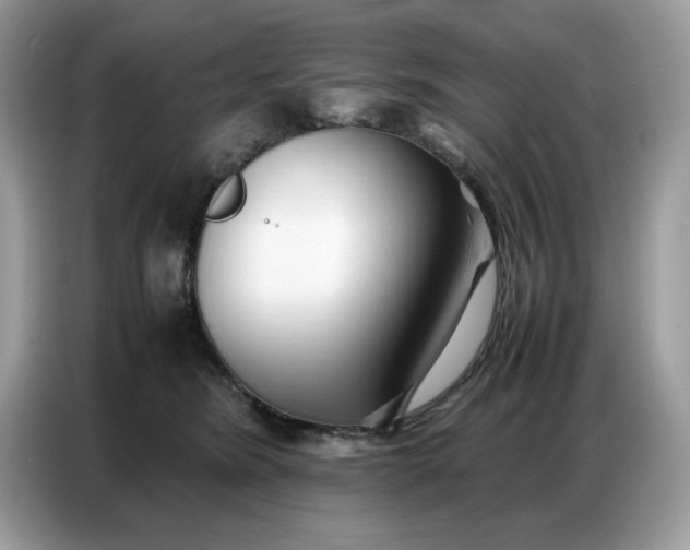 X0000086740420200704271654