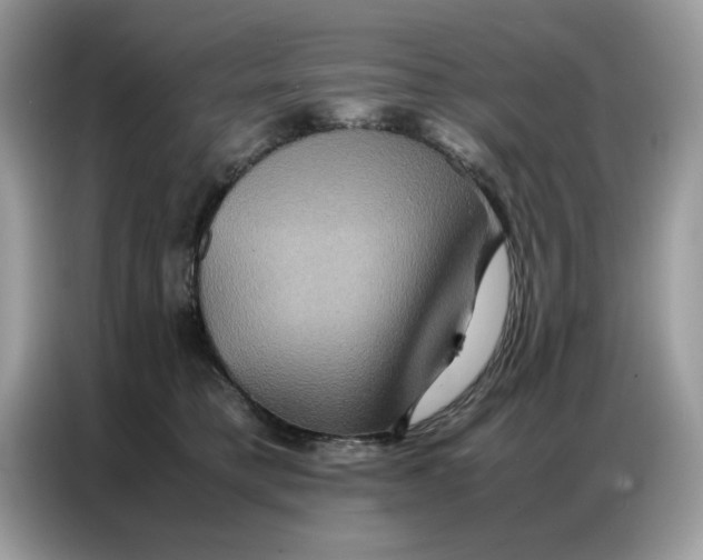 X0000086740421200704271654