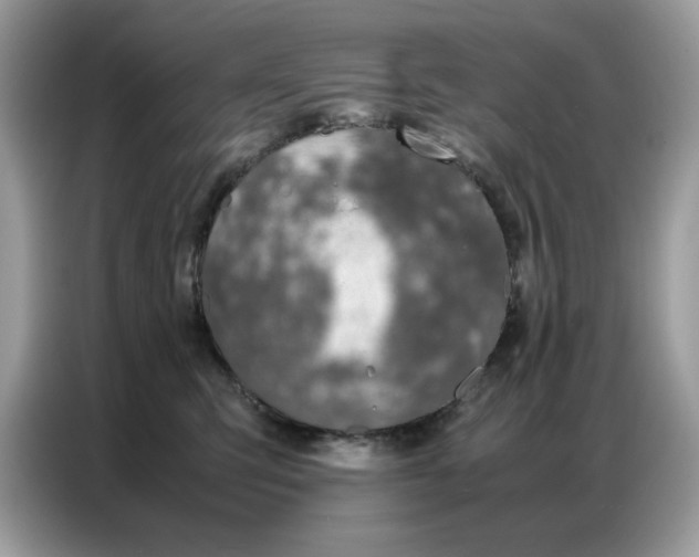 X0000086740423200704271654