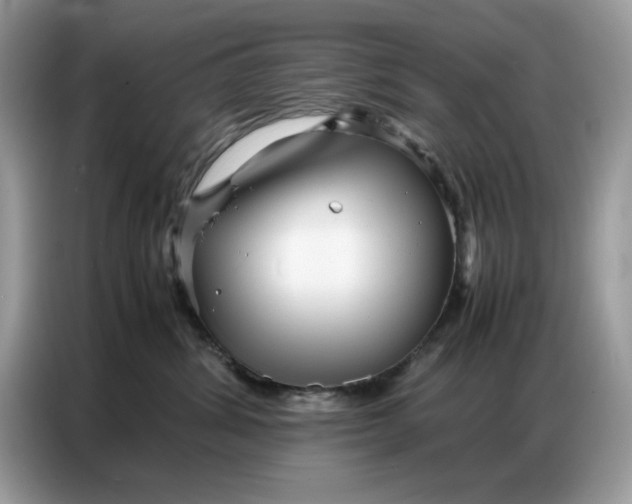 X0000086740428200704271654