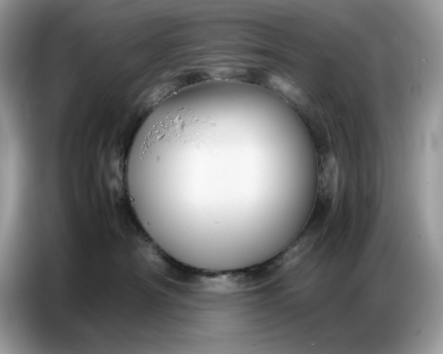 X0000086740430200704271654