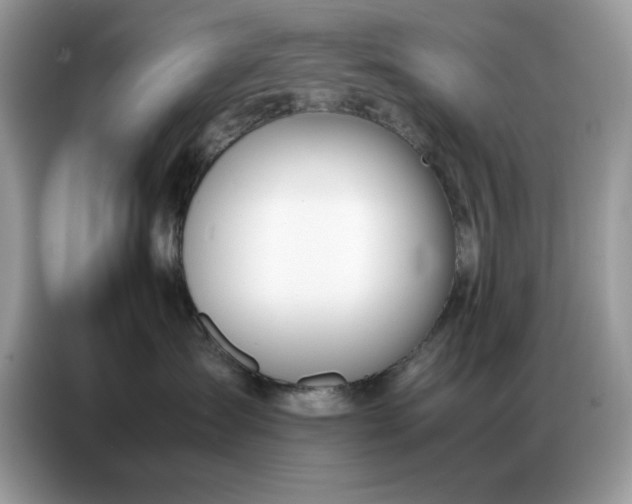 X0000086740431200704271654