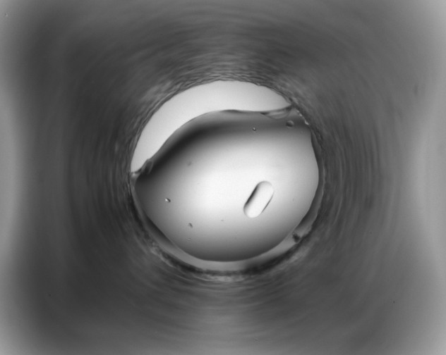 X0000086740432200704271654