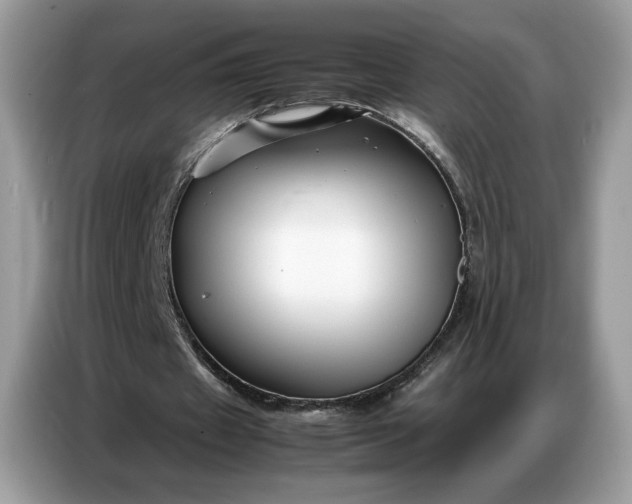 X0000086740433200704271653